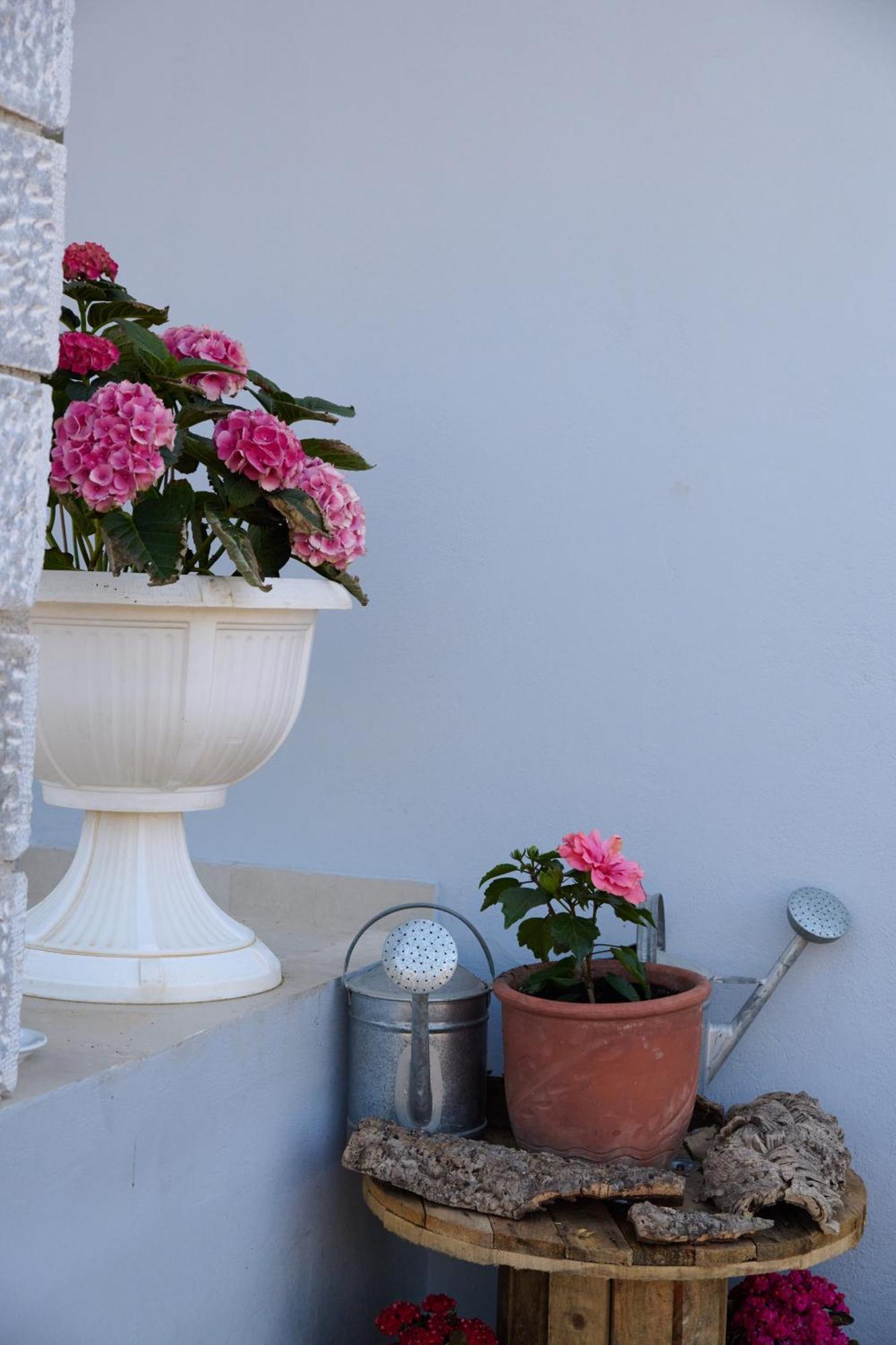 La Familia Luxury Private Maisonettes Near The Sea Γύθειο Εξωτερικό φωτογραφία