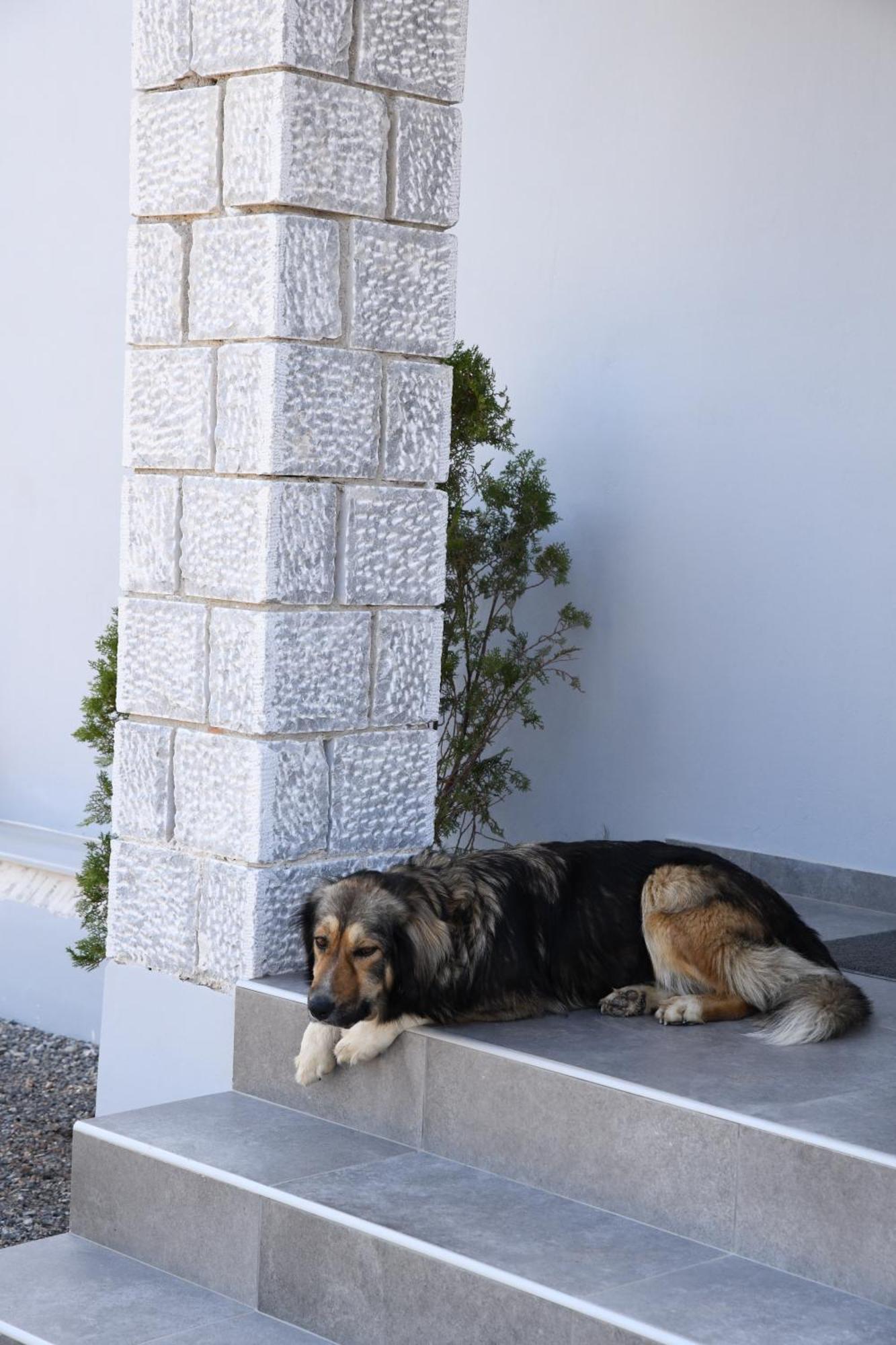 La Familia Luxury Private Maisonettes Near The Sea Γύθειο Εξωτερικό φωτογραφία