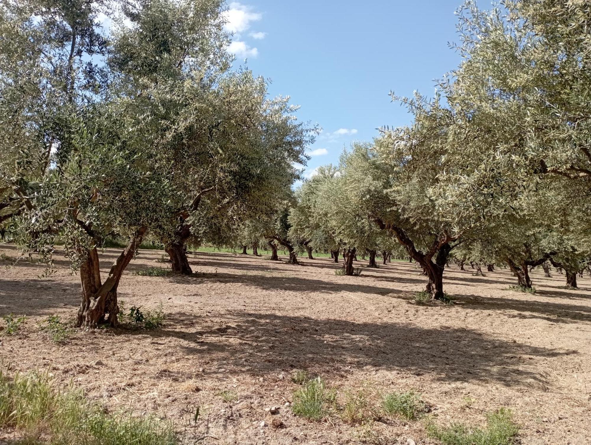 La Familia Luxury Private Maisonettes Near The Sea Γύθειο Εξωτερικό φωτογραφία